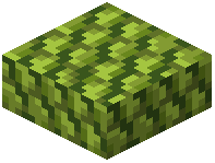 Lime Pinecone Shingle Slab