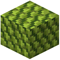 Lime Pinecone Shingles