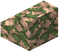 Mossy Adamellite Cobblestone Stairs