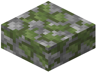 Mossy Gneiss Cobblestone Slab
