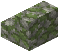 Mossy Greywacke Cobblestone Stairs