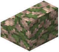 Mossy Quartzite Cobblestone Stairs