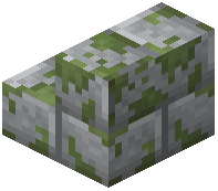 Mossy Shale Brick Stairs