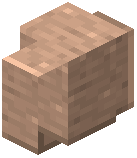 Polished Adamellite Wall