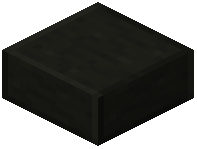 Polished Lignite Slab