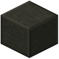 Polished Pyroxenite