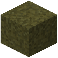 Soggy Darkened Sand