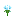 Snow Soul Lotus