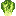 Lettuce
