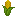 Raw Corn