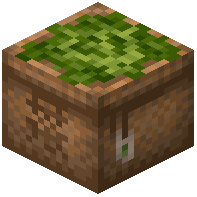 Green Tea Bag