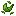 Green Tea Leaves