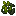 Oolong Tea Leaves