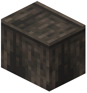 Audio Large Raw Acacia Wood