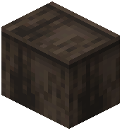 Audio Large Raw Dark Oak Wood