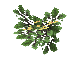 Average Gold Blooming Leaves