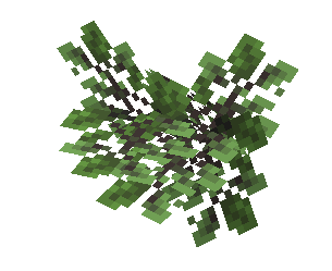 Average Oak Leaves