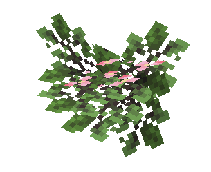 Average Pink Blooming Leaves