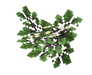Average White Blooming Leaves