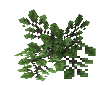 Big Oak Leaves