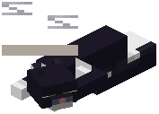 Black Cat