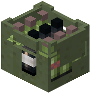 Bottle Container Green Concrete