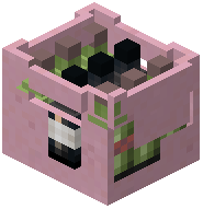 Bottle Container Pink Concrete