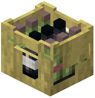 Bottle Container Raw Bamboo