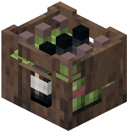 Bottle Container Raw Jungle Wood