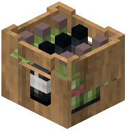 Bottle Container Raw Oak Wood