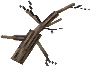 Branch 0