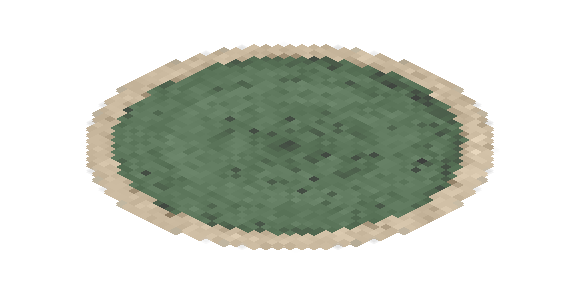 Carpet 4