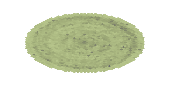 Carpet 6