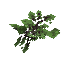 Cluster Oak Leaves