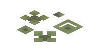 Fern