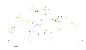 Fireflies