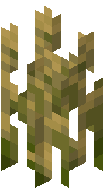 Grown Wheat
