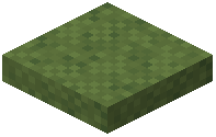 Half Slab Grass
