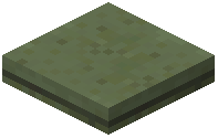 Half Slab Green Concrete