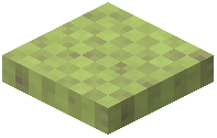Half Slab Lime Wool