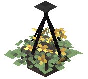 Hanging Gold Tulip