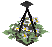 Hanging White Tulip