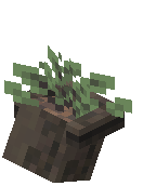 Mounted Fern