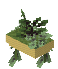 Mounted Fern Pot Template