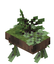 Mounted Fern Pot Raw Jungle Wood