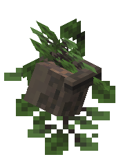Mounted Oak Sprout