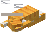 Orange Cat