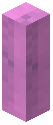 Pole Magenta Wool