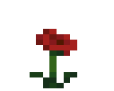 Poppy