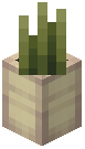 Potted Bush